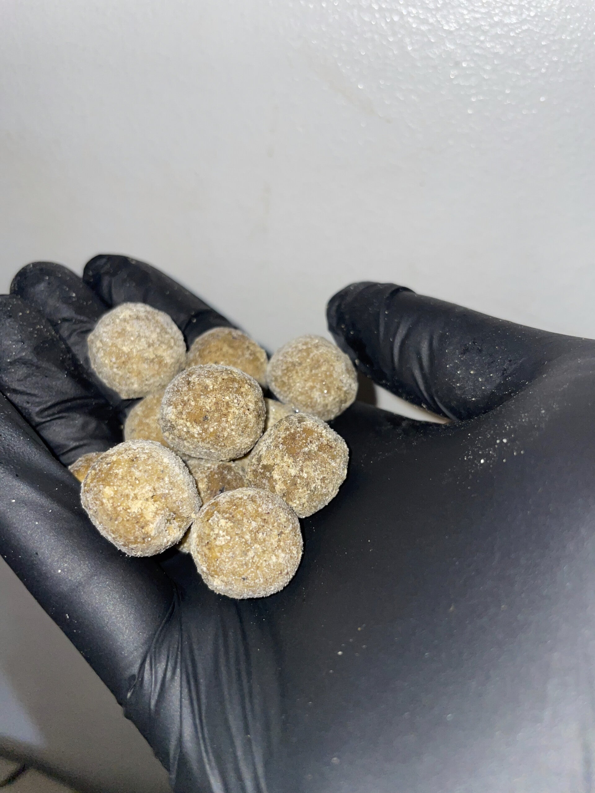 18mm carp crack boilies 5kg