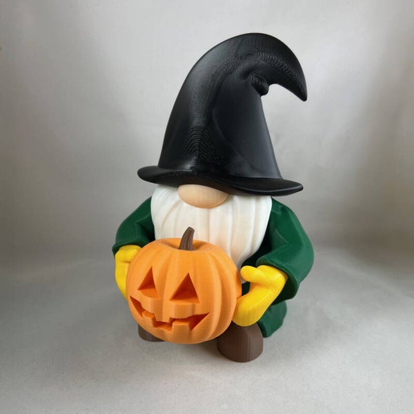 Holiday Gnome Halloween Outfit