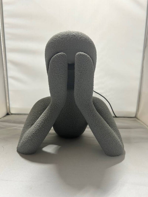 No Body 3D Printed Lamp