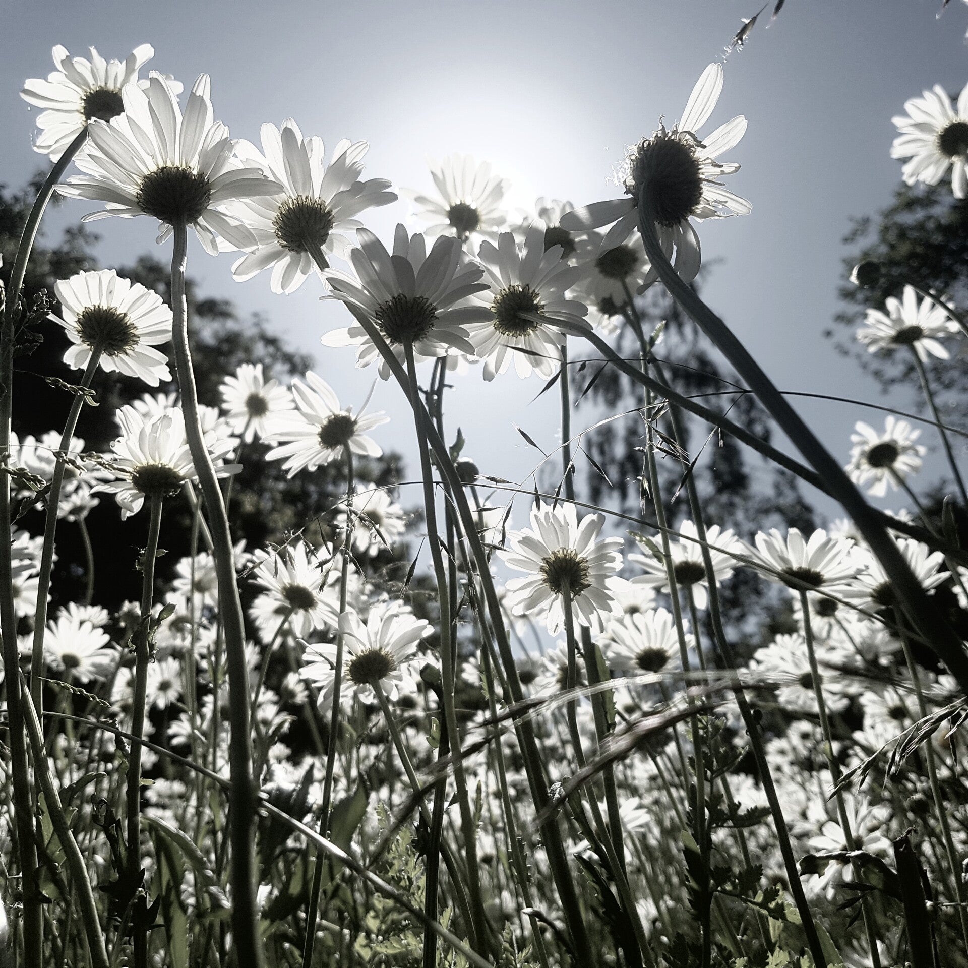 Gutscheine € 10 - € 100