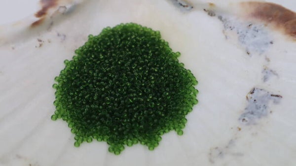 Seedbeads 15/0 Transparent Olive 0158