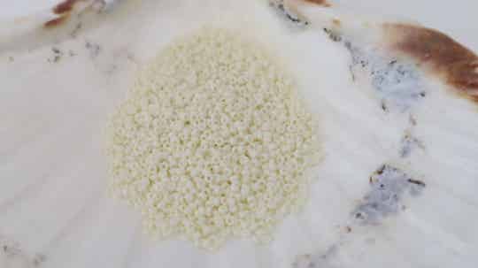 Seedbeads 15/0  Opaque Cream Mat 2021