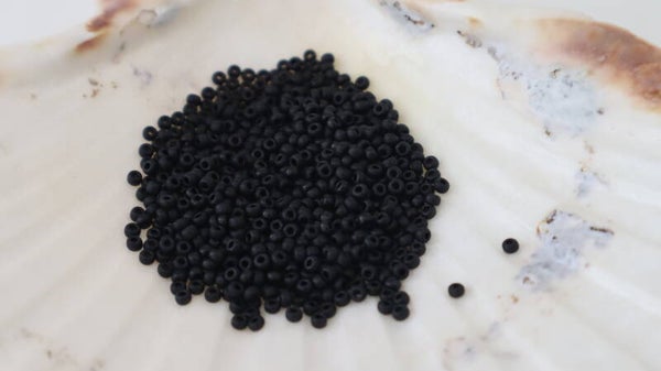 Seedbeads 11/0 Black Semi Frosted 401SF