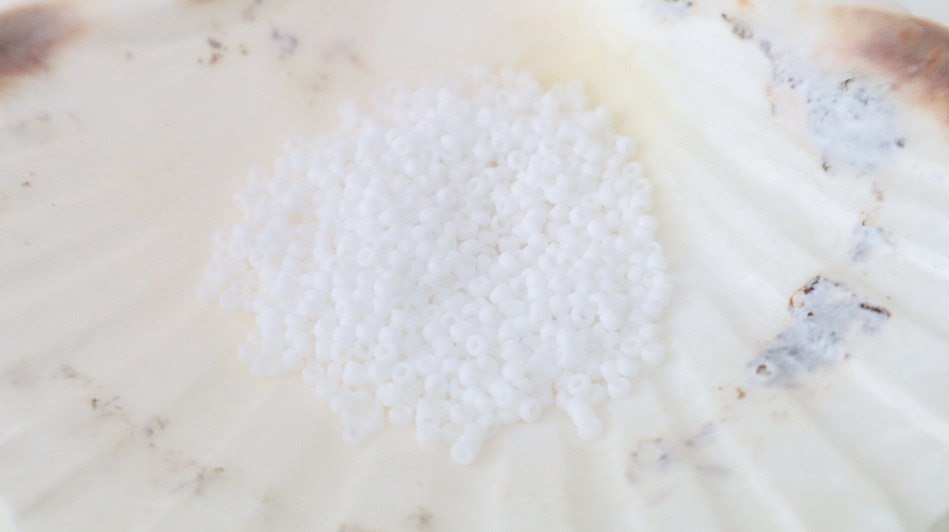 Seedbeads 11/0 Mat Opaque White 402F