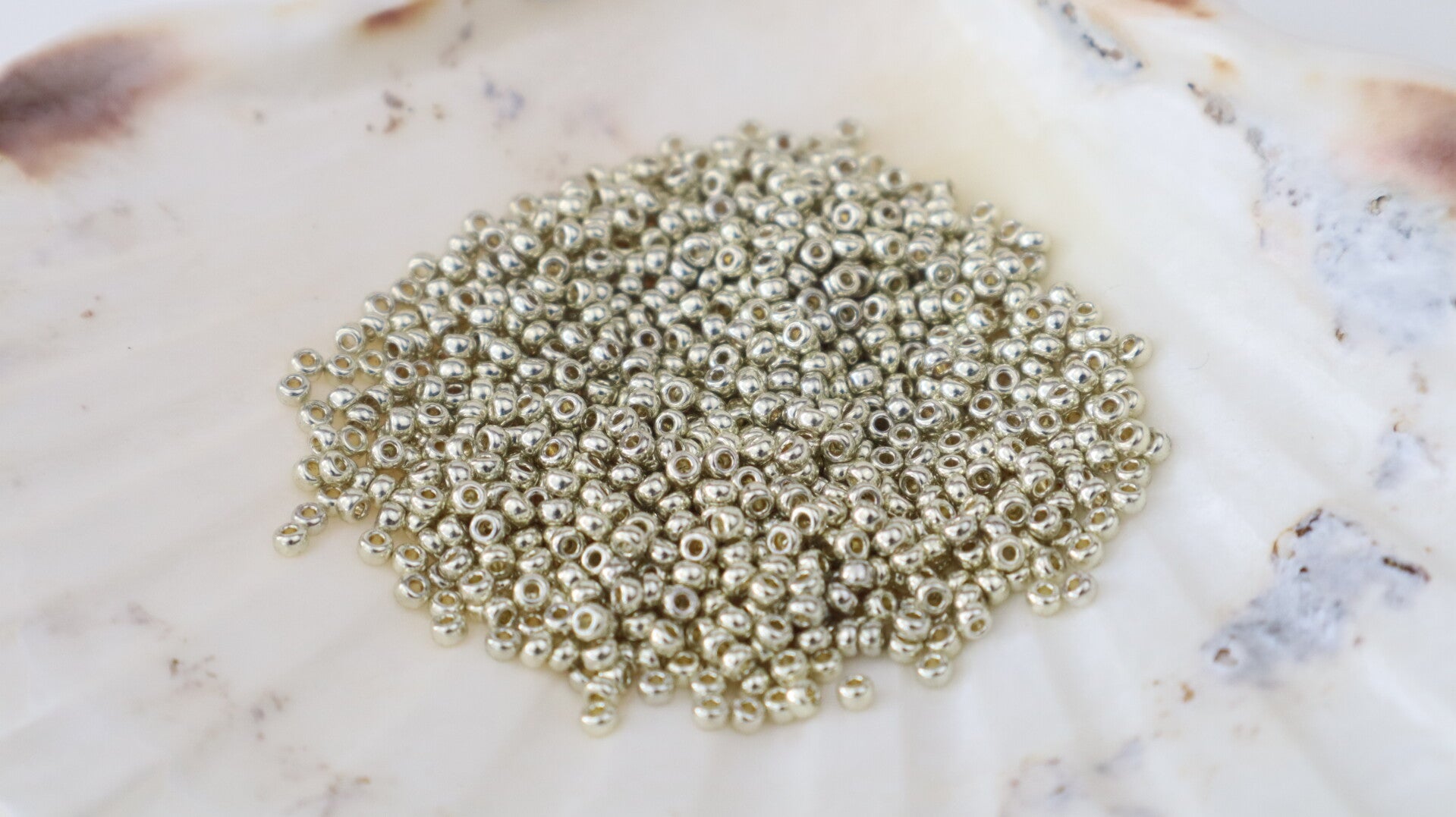 Seedbeads 11/0 Galvanized Silver 4201