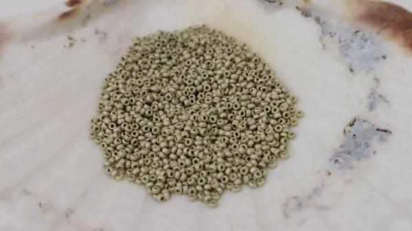 Seedbeads 11/0 Galvanized Silver 4201F