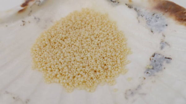 Seedbeads 15/0 Mat Opaque Cream AB 492FR