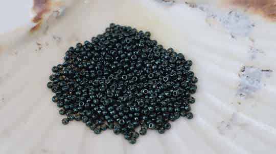 Seedbeads 11/0 DC Galvanized Black Moss 5107
