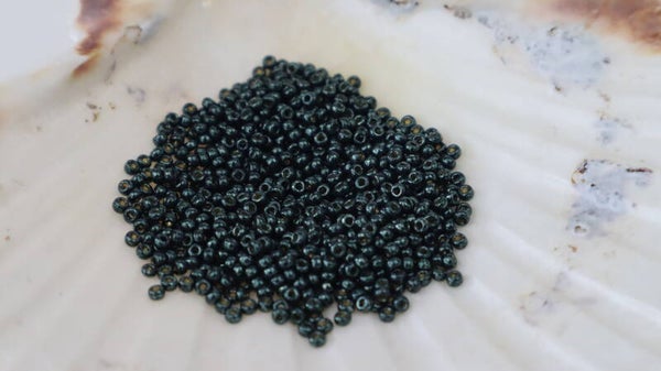 Seedbeads 11/0 DC Galvanized Black Moss 5107