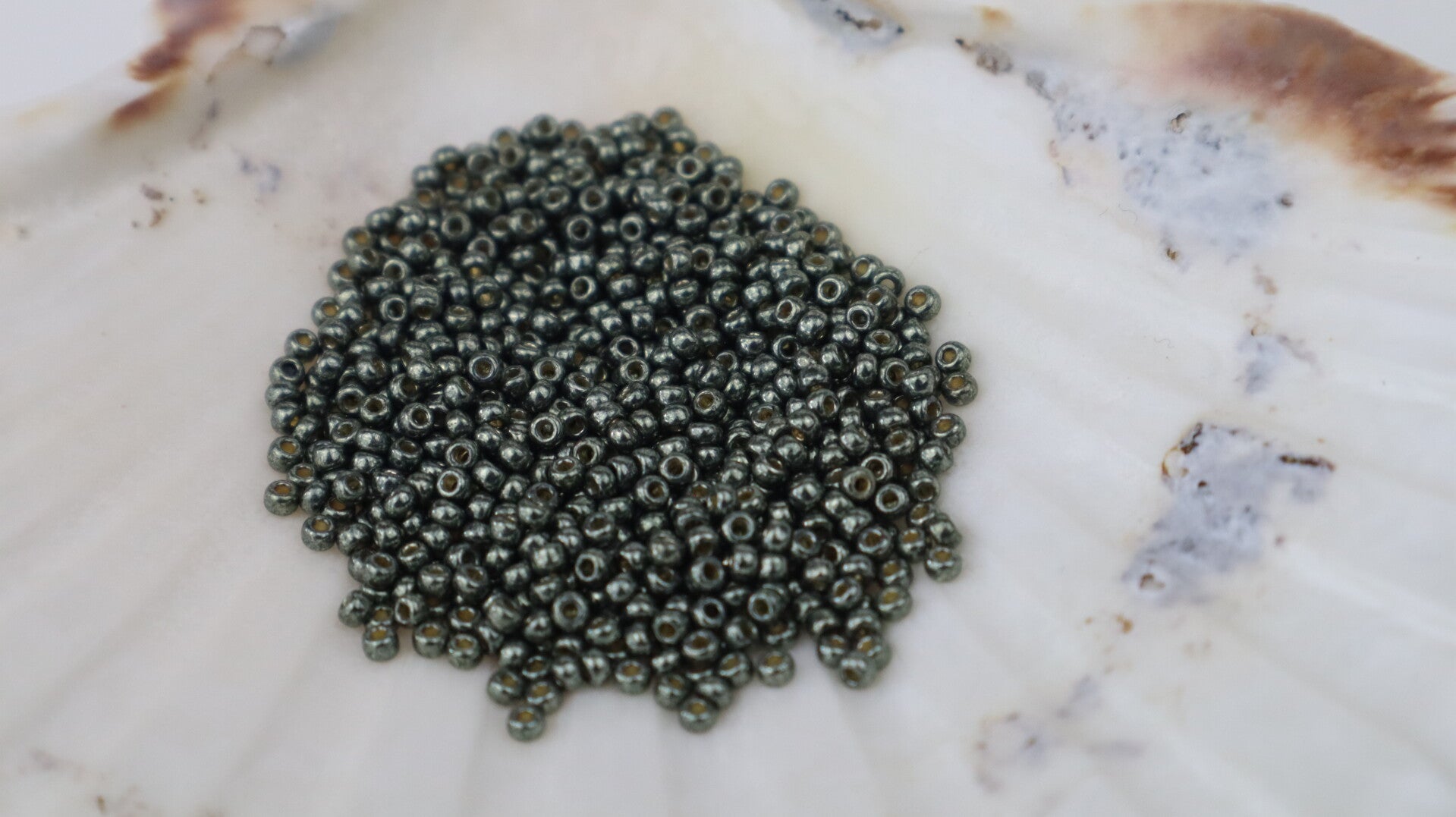 Seedbeads 11/0 DC Galvanized Dark Steel Green 5112
