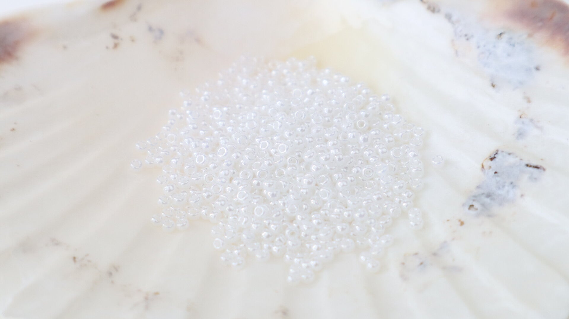 Seedbeads 11/0 White Pearl Ceylon 528