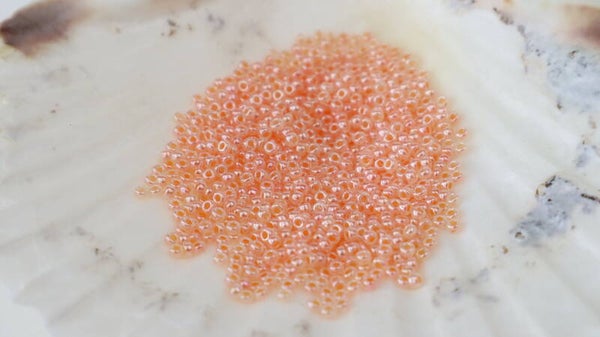 Seedbeads 11/0 Ceylon Tea Rose 543