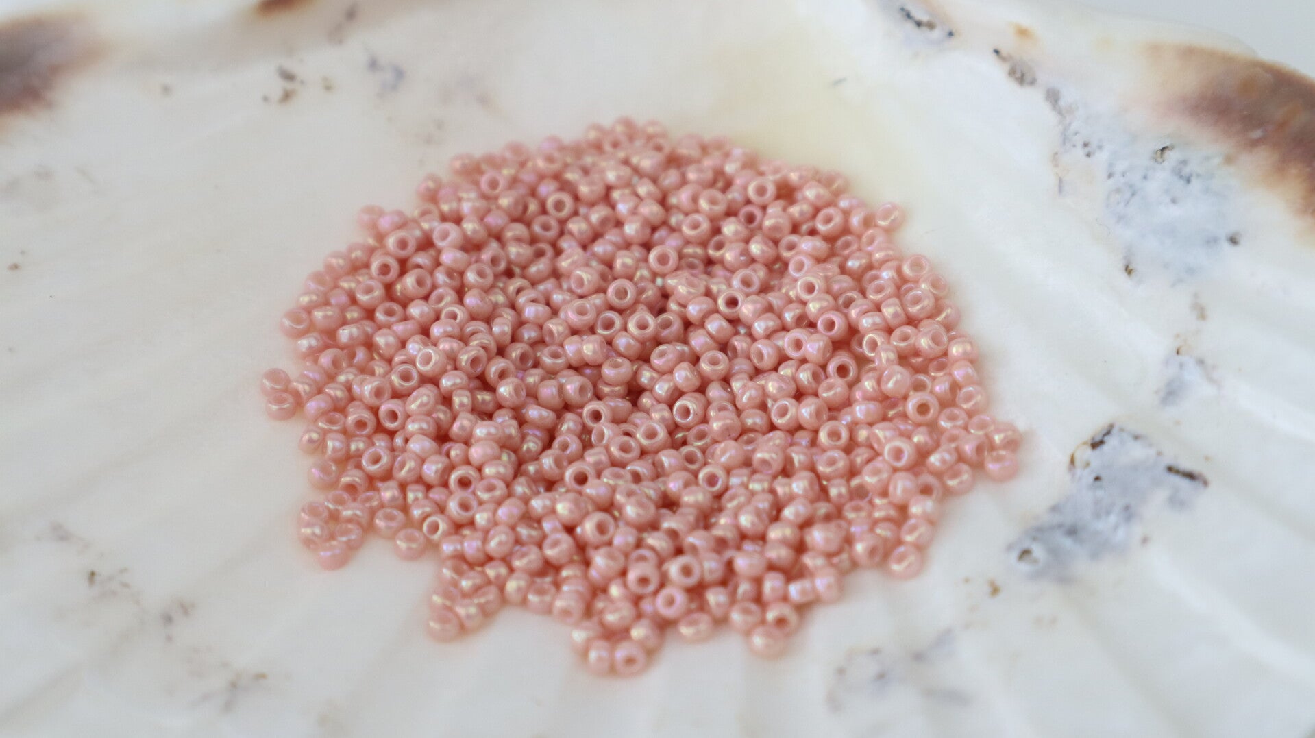 Seedbeads 11/0 Opaque Luster Tea Rose 596