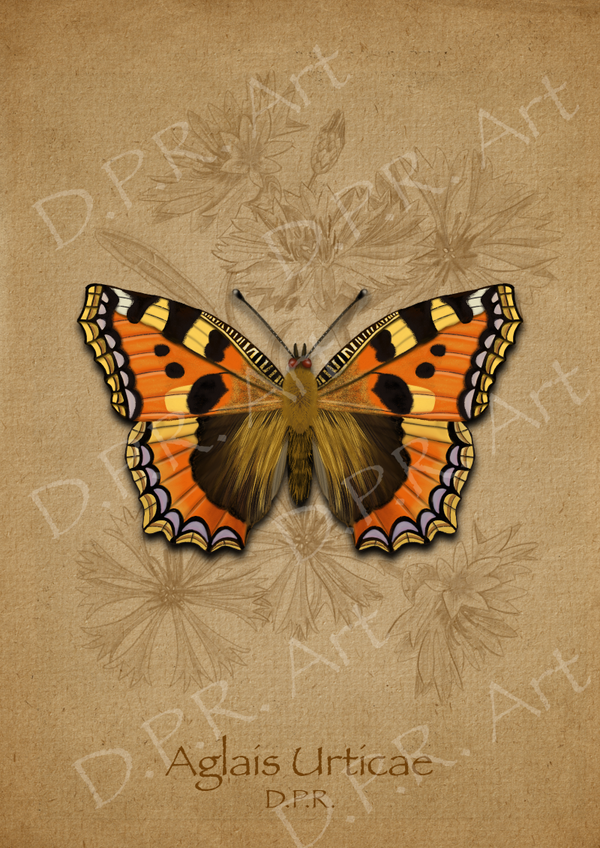 Aglais Urticae