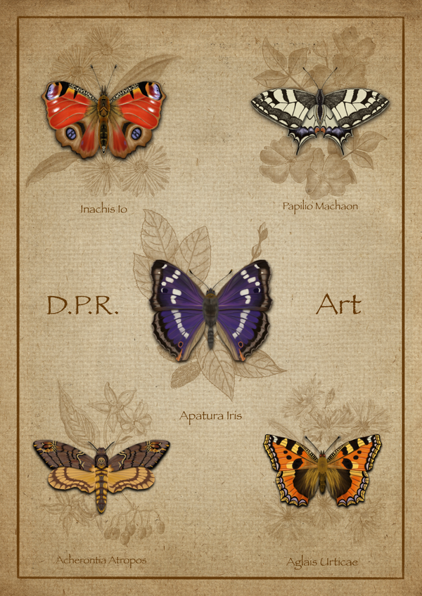 Papiliones