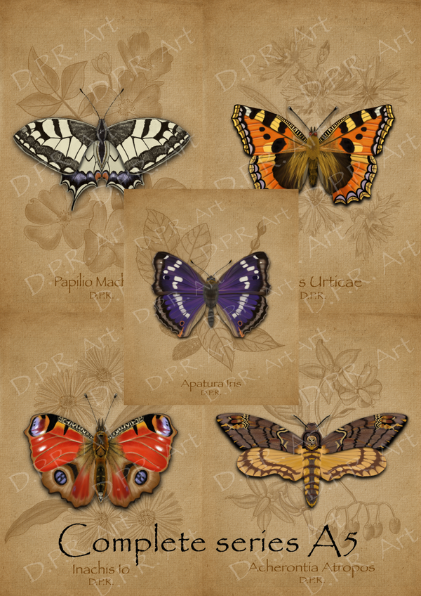 Complete Butterfly series