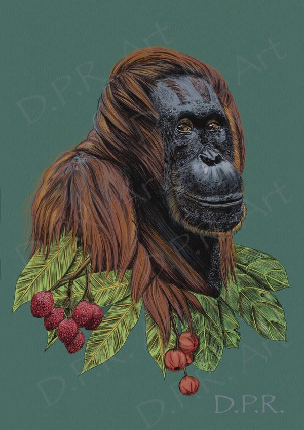 Orangutan Green