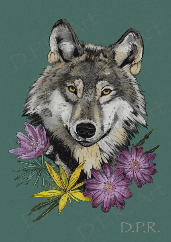 Wolf Green
