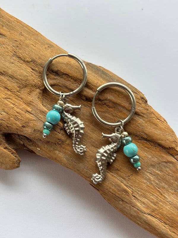 Oorbellen seahorse