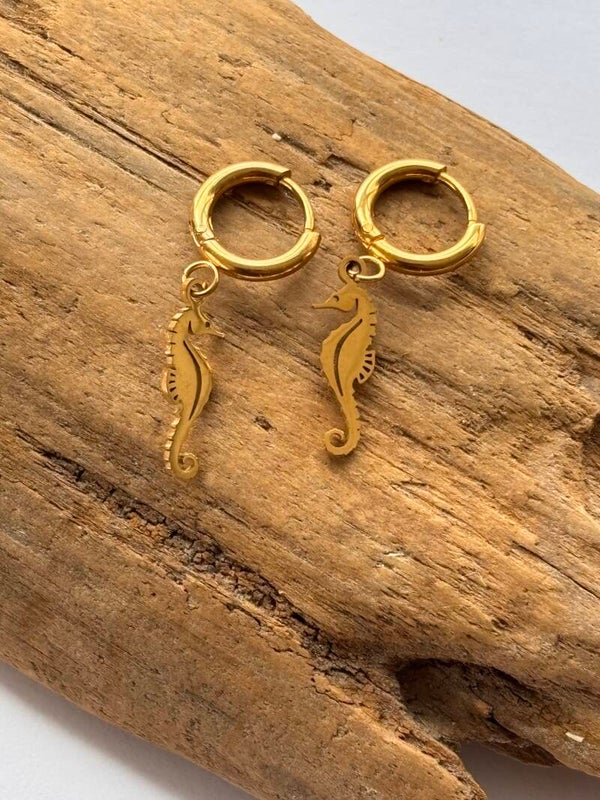 Oorbellen seahorse