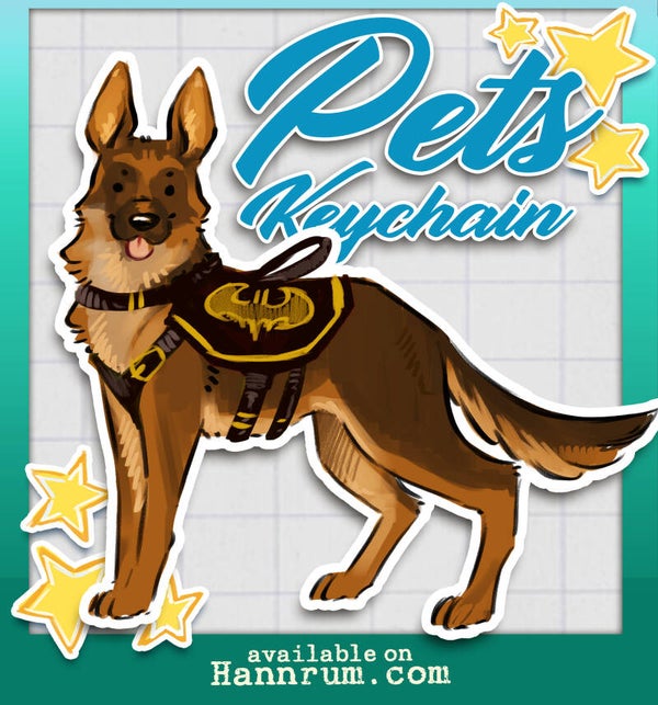 Dc pets keychains