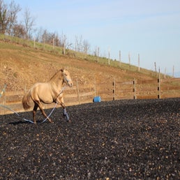 img_6430-standard.jpg