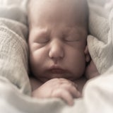 img_5882-standard-qwbzix.jpg