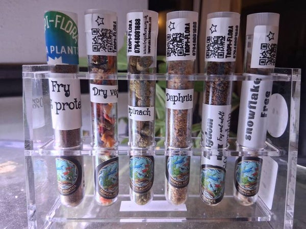 🦐Tropi-stand mix up🐟