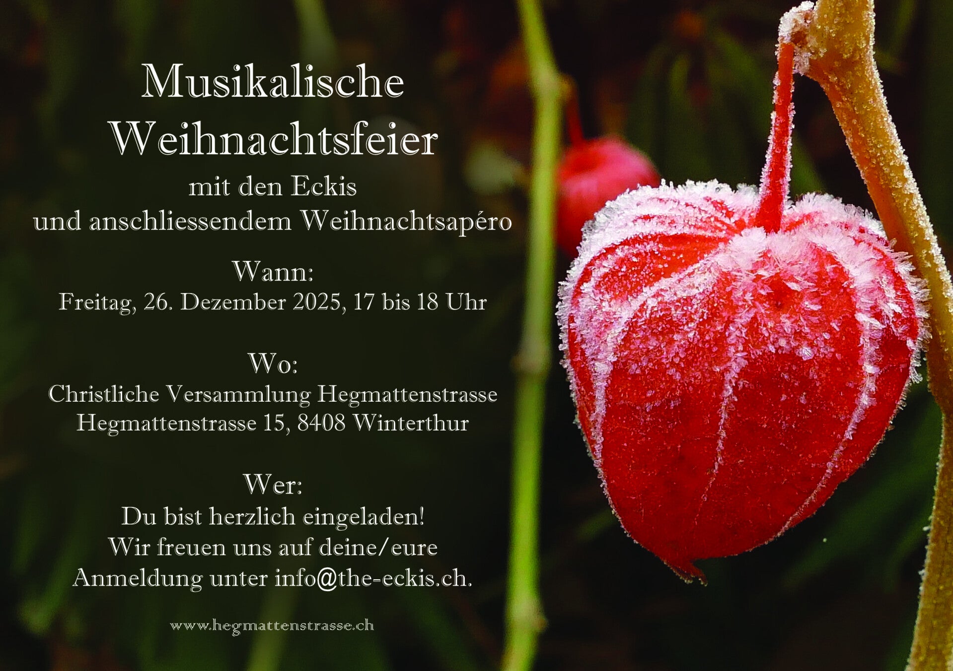 Boris, Silvana, Chrigi, Mac und Max beim Auftritt im Mitternachtsruf Dübendorf