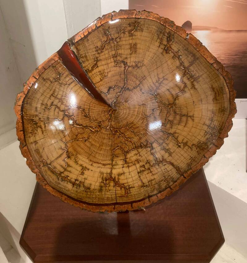 Ornamental Oak disc mounted in upright position on wooden plinth finished to high shine with resin detal