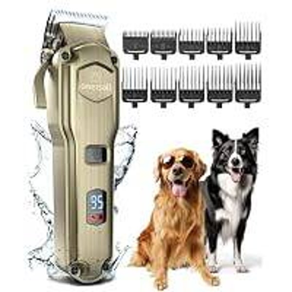 Tondeuse pour chien