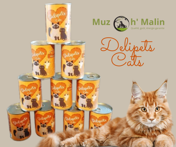 Delipets cats