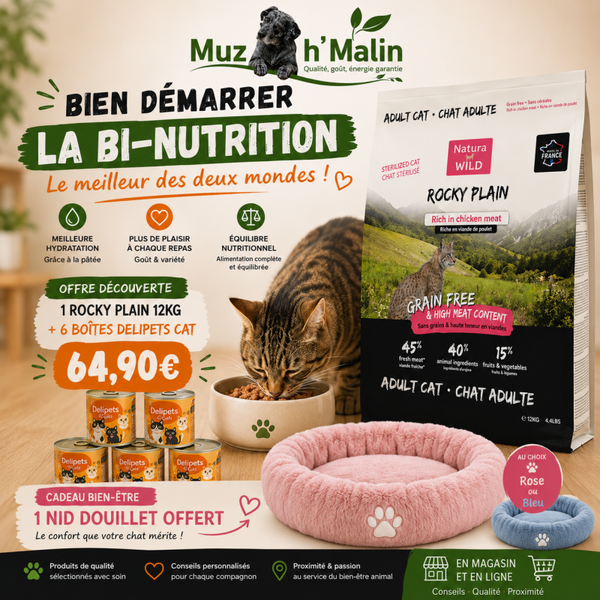BI-NUTRITION CHAT ( offre découverte)