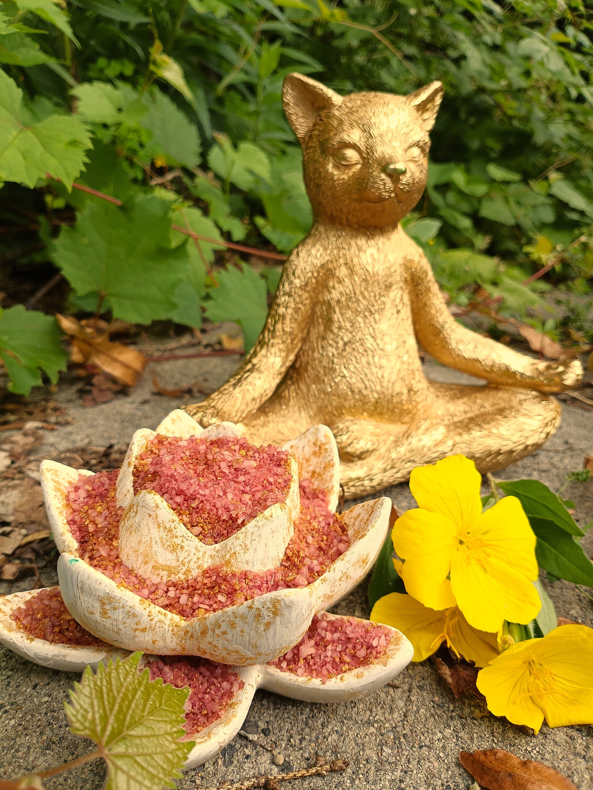 Jasmine Lotus