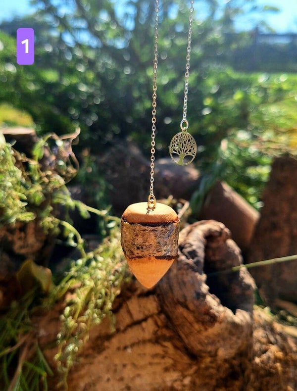 Pendulums
