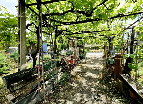 Luminoso bilocale con giardino staccato di proprietà, zona Toano