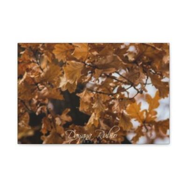 Autumn Leaves Canvas Wall Art By Dayana Rubio, Nature Photography, Home Decor, Seasonal Wall Decor, Fall Artwork, Gift for Nature Lovers