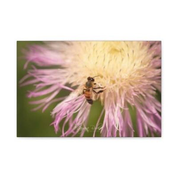 Bee and Flower Canvas Art by Dayana Rubio, Floral Wall Decor, Nature Photography, Rustic Home Decor, Gift for Garden Lovers