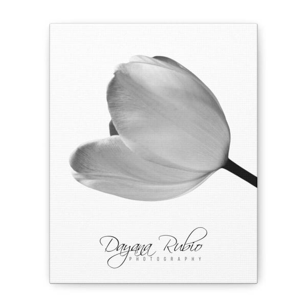 Elegant Floral Canvas Art Print By Dayana Rubio