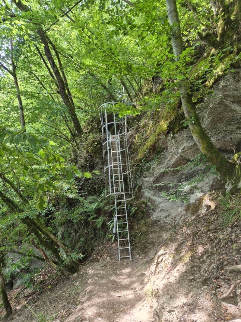 Laddertjeswandeling