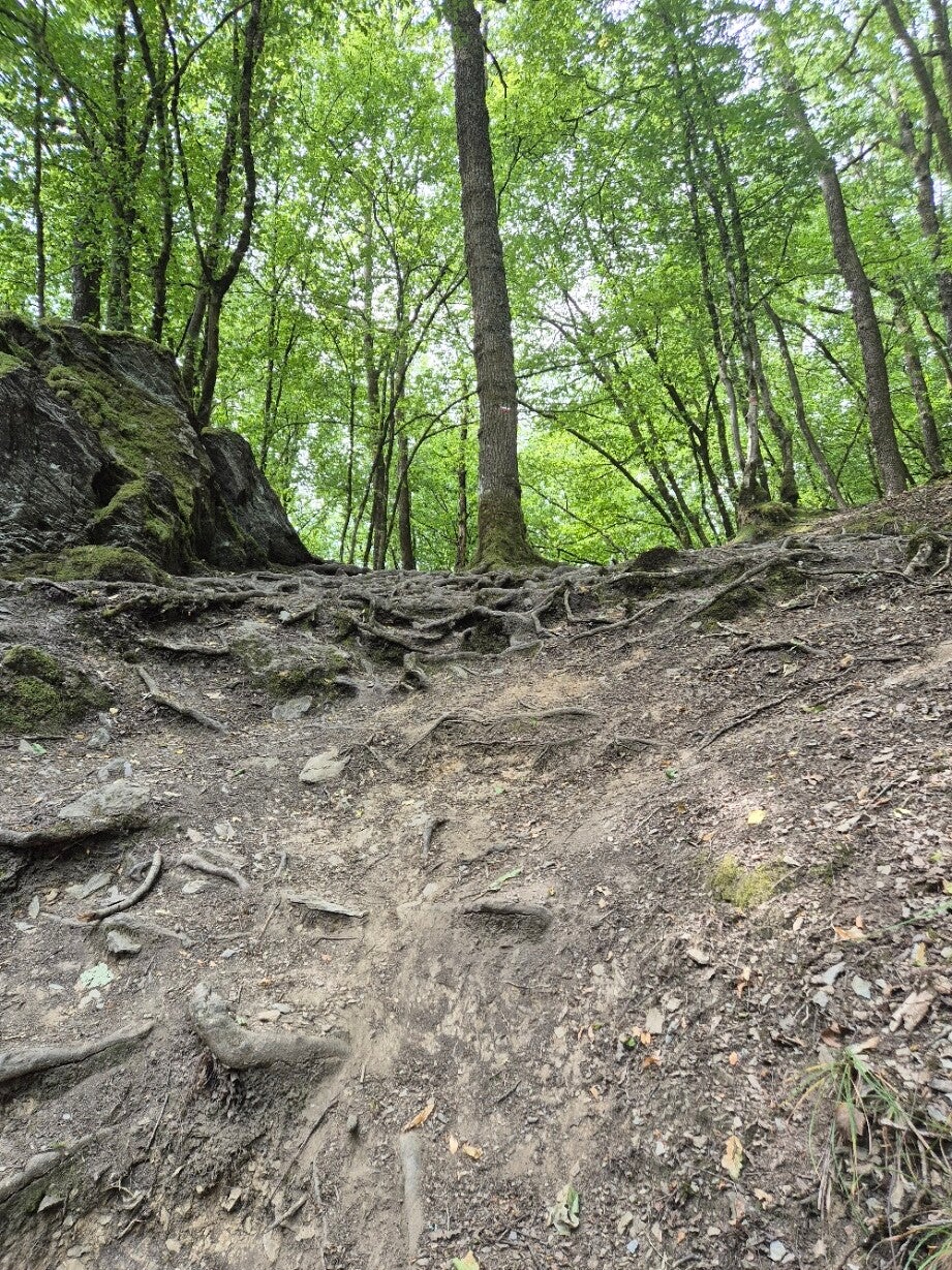 Wandelen