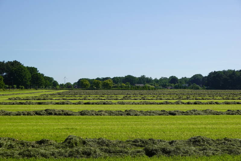 Kempen