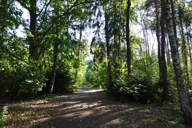Wandelen in de schaduw