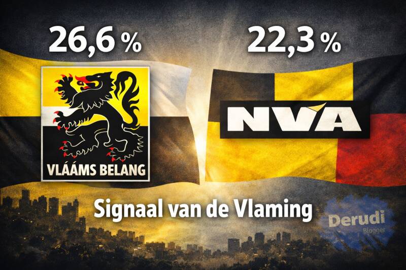 De stem van de Vlaming