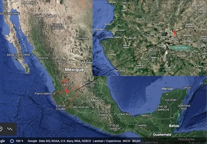 Carte de la situation géographique de l’état de Jalisco et de la ville de Tonalá au Mexique