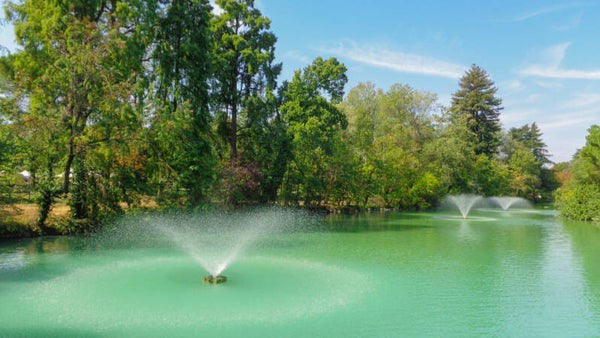 A Stroll Through Bologna's Most Fascinating Gardens