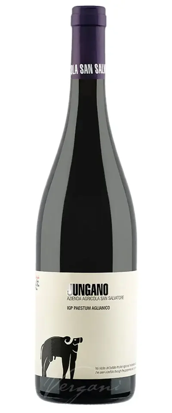 San Salvatore Jungano Aglianico Paestum igp San Salvatore Rotwein, 75 cl, Campania, Italien, 2020