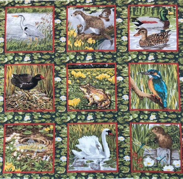 Animals water animals 6 labels