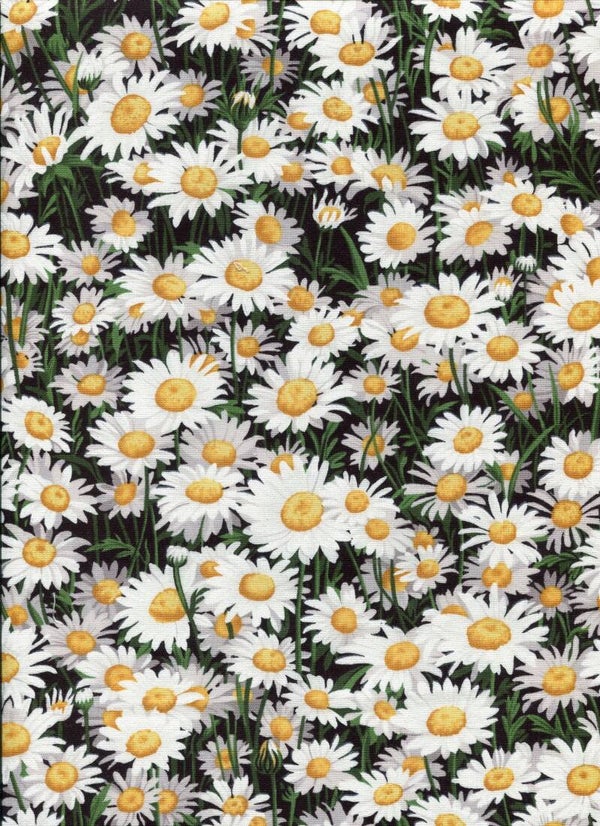 Flowers daisies all over