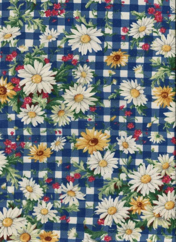 Flowers daisies on blue white